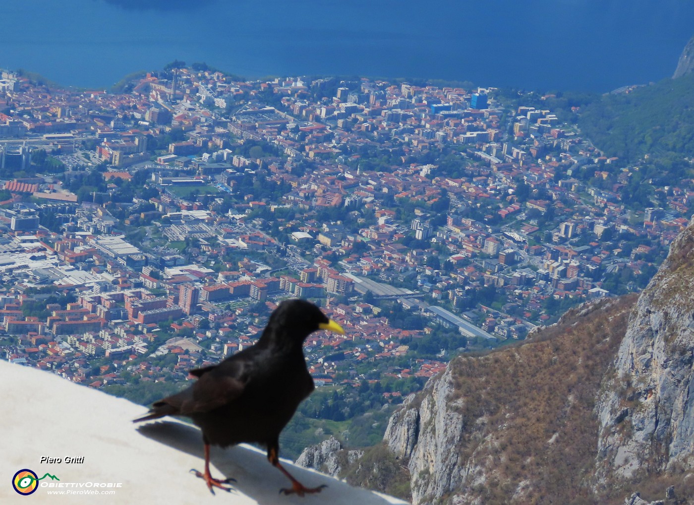 49 Gracchio con vista su Lecco.JPG
